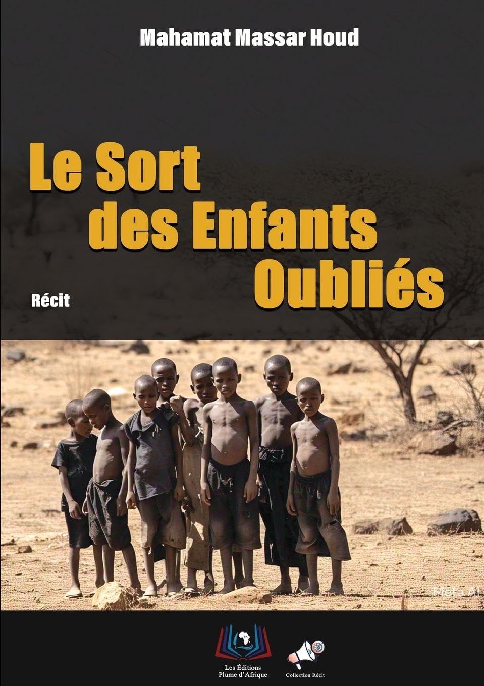 Le Sort des Enfants Oubliés Contemporary literature