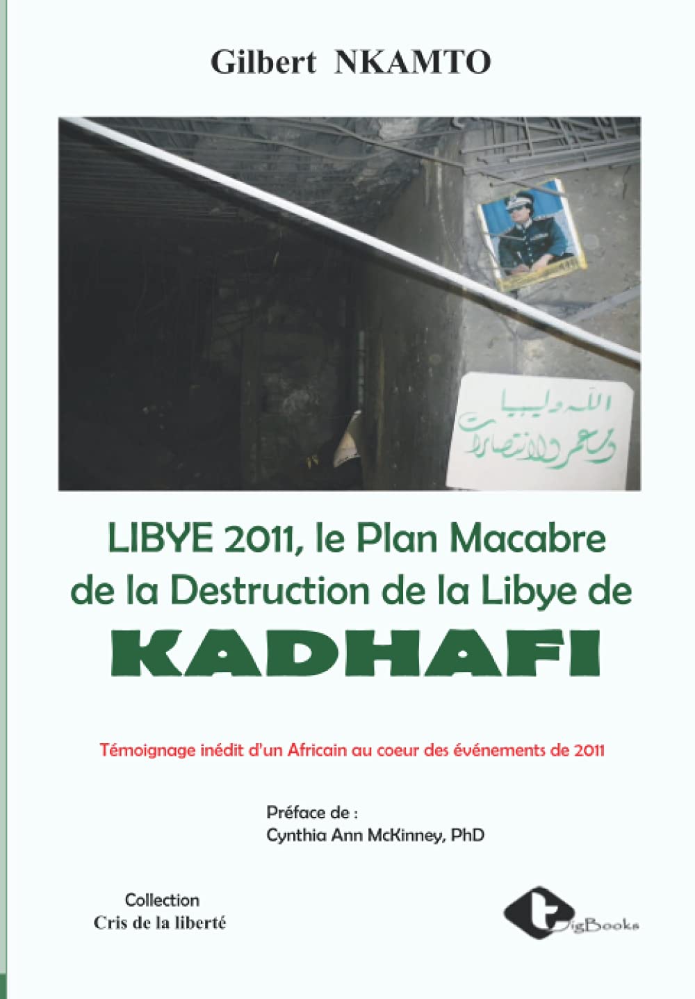 LIBYE 2011, le Plan Macabre de la Destruction de la Libye de: Témoignage inédit d’un Africain au coeur des événements de 2011 Contemporary literature