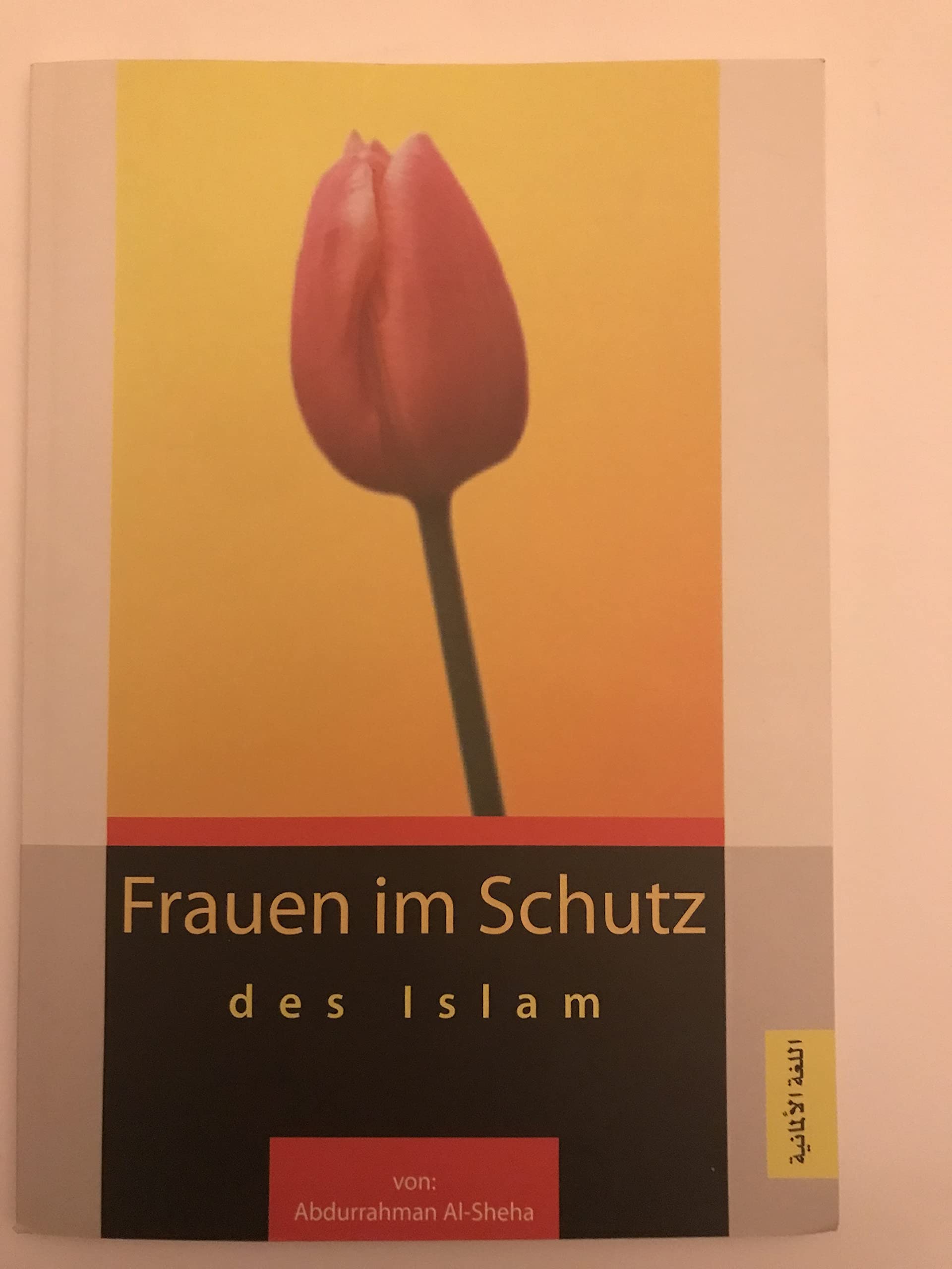 Frauen im Schutz des Islam Religion & Esotericism
