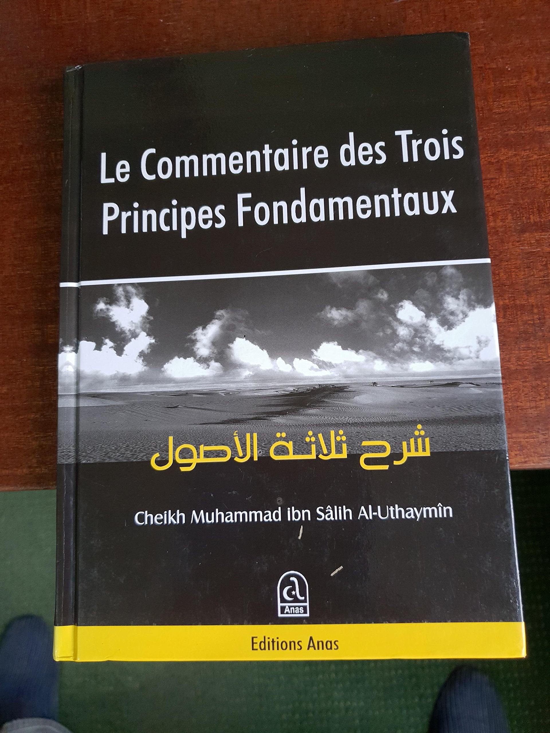 le commentaire des trois principes fondamentaux book