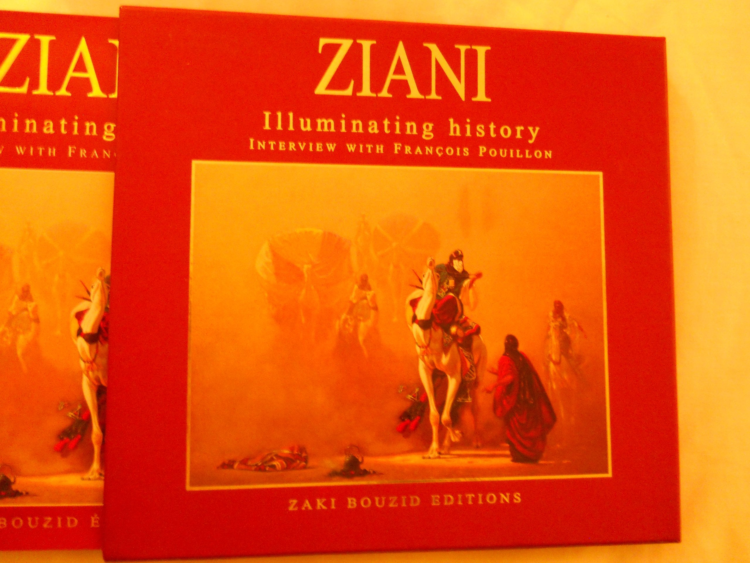 Ziani, les lumières de l'histoire book