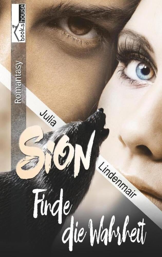 Sion - Finde die Wahrheit Contemporary literature