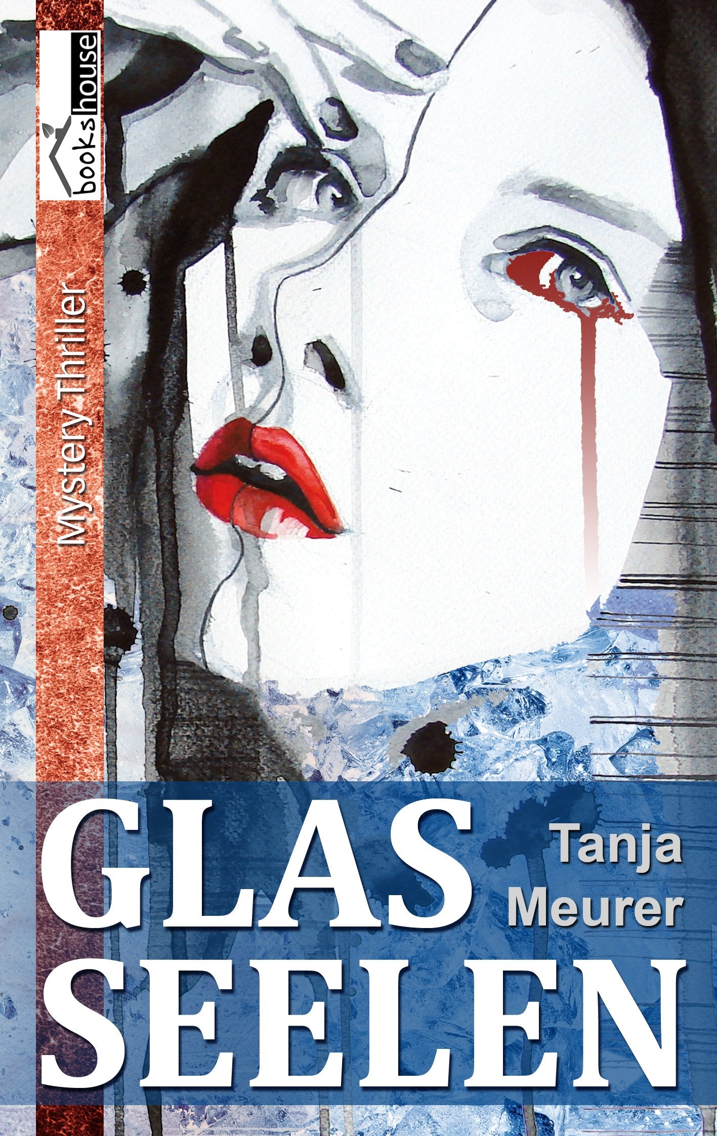 Glasseelen (Schattengrenzen, Band 1) Contemporary literature