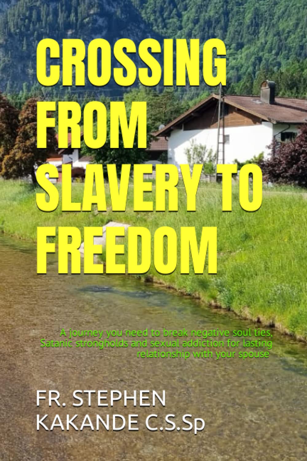 CROSSING FROM SLAVERY TO FREEDOM book
