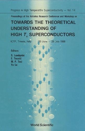 Towards The Theoretical Understanding Of High Temperature Superconductors - Proceedings Of The Adriatico Research Conference And Workshop (Series on ... Superconductivity, Vol. 14, Band 14) Natural Sciences