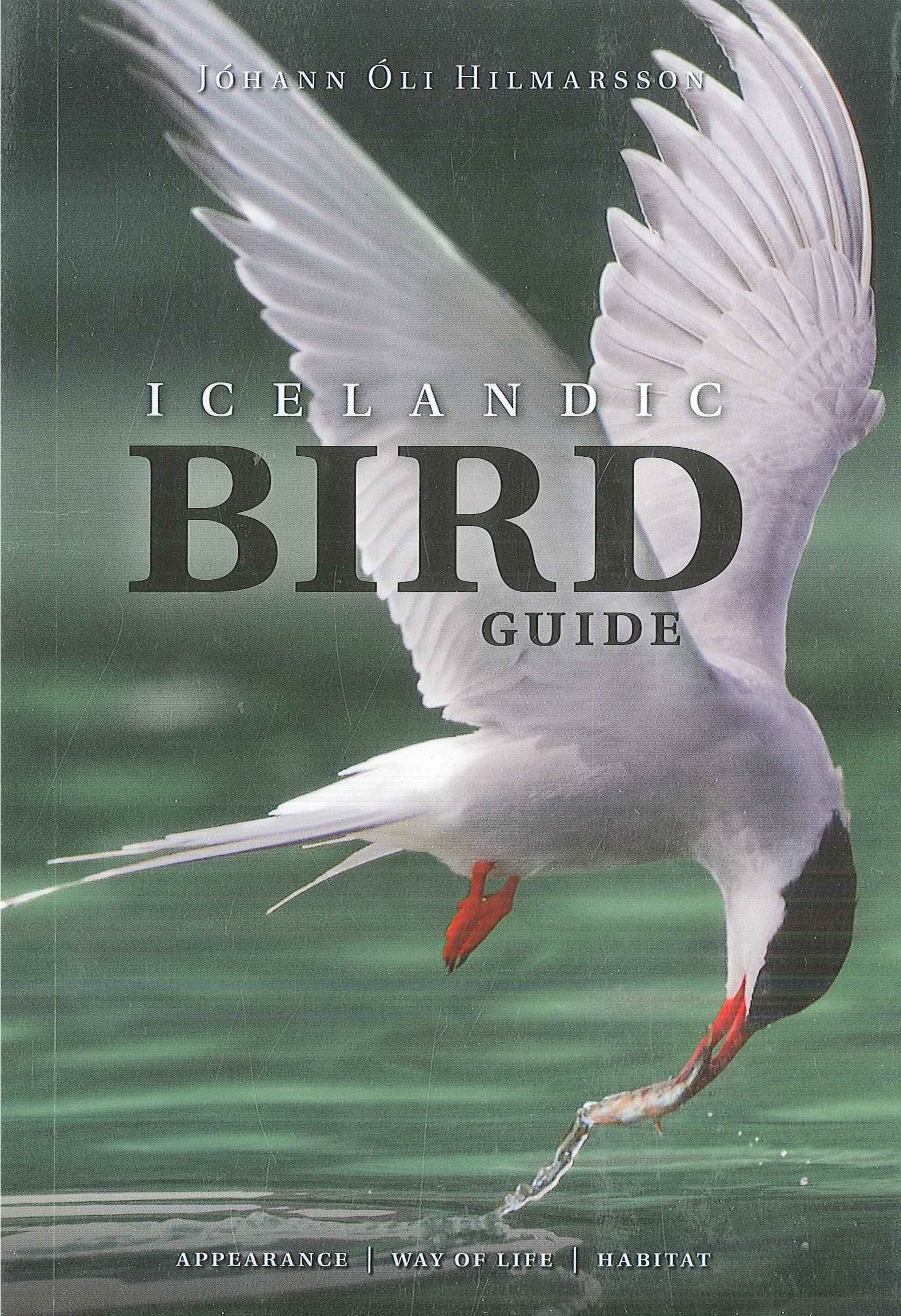 Icelandic Bird Guide: Appearance, Way of Life, Habitat Mathematics