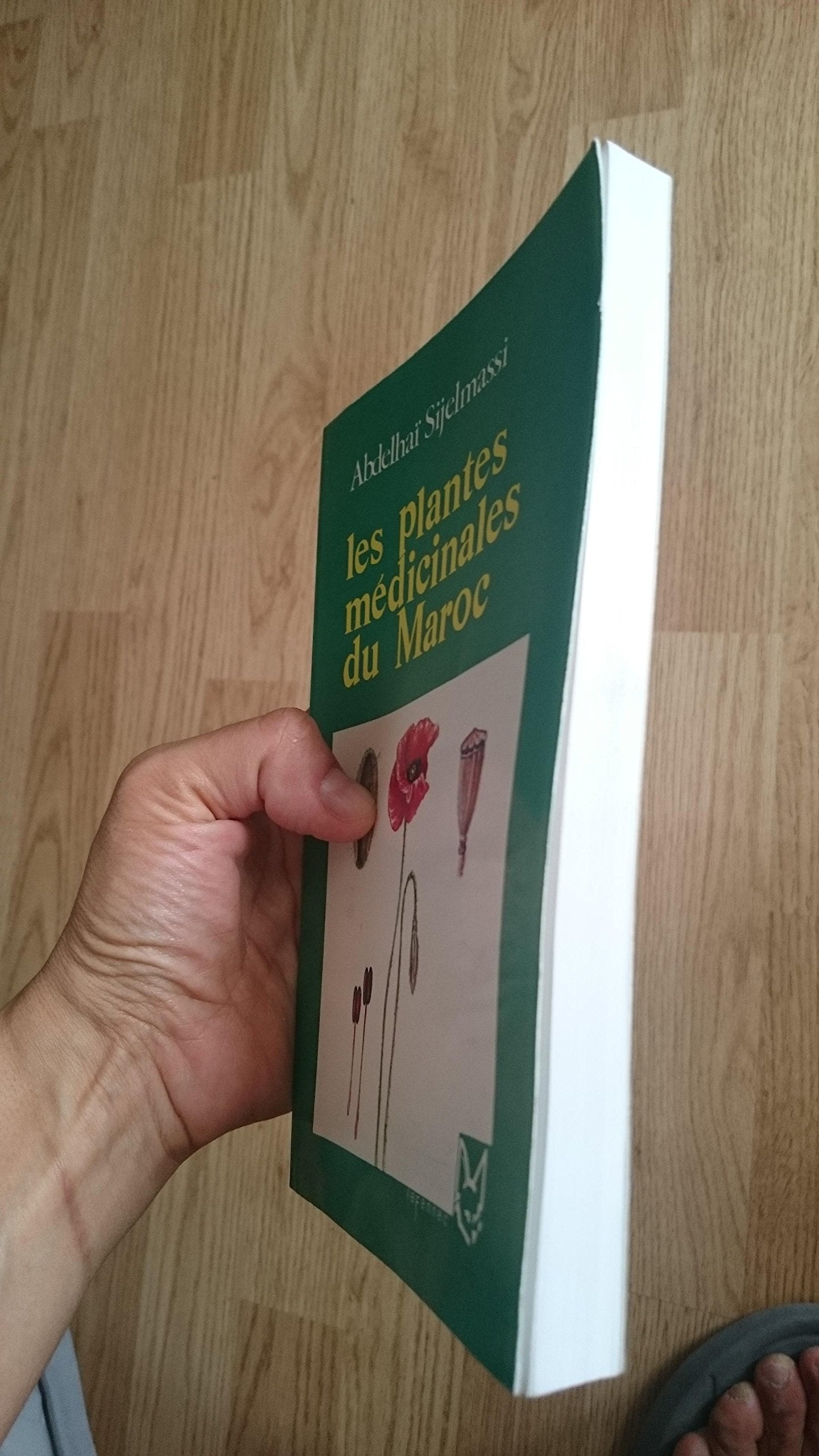 Les Plantes Médicinales du Maroc book