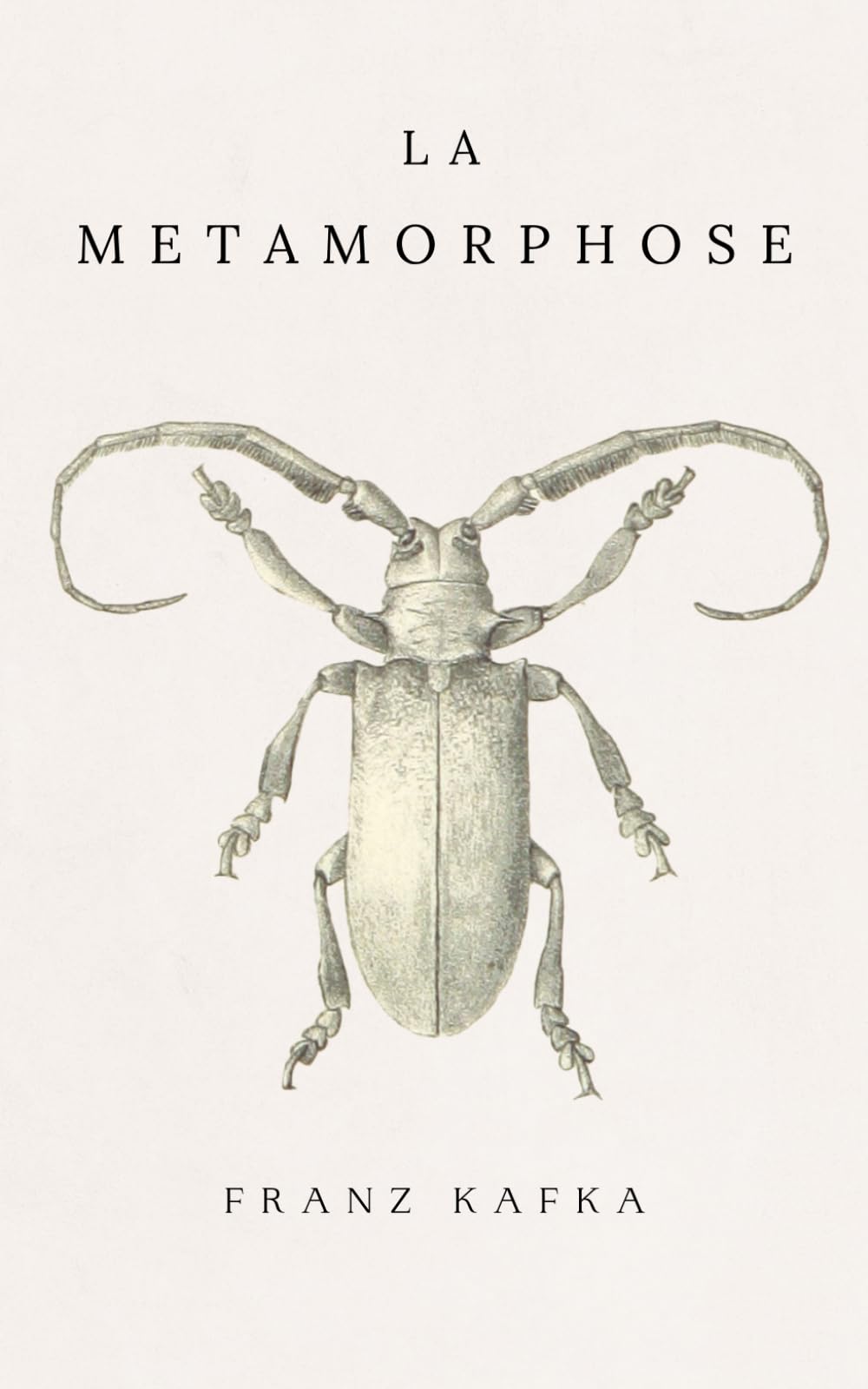 La Métamorphose: de Franz Kafka | Traduction française book
