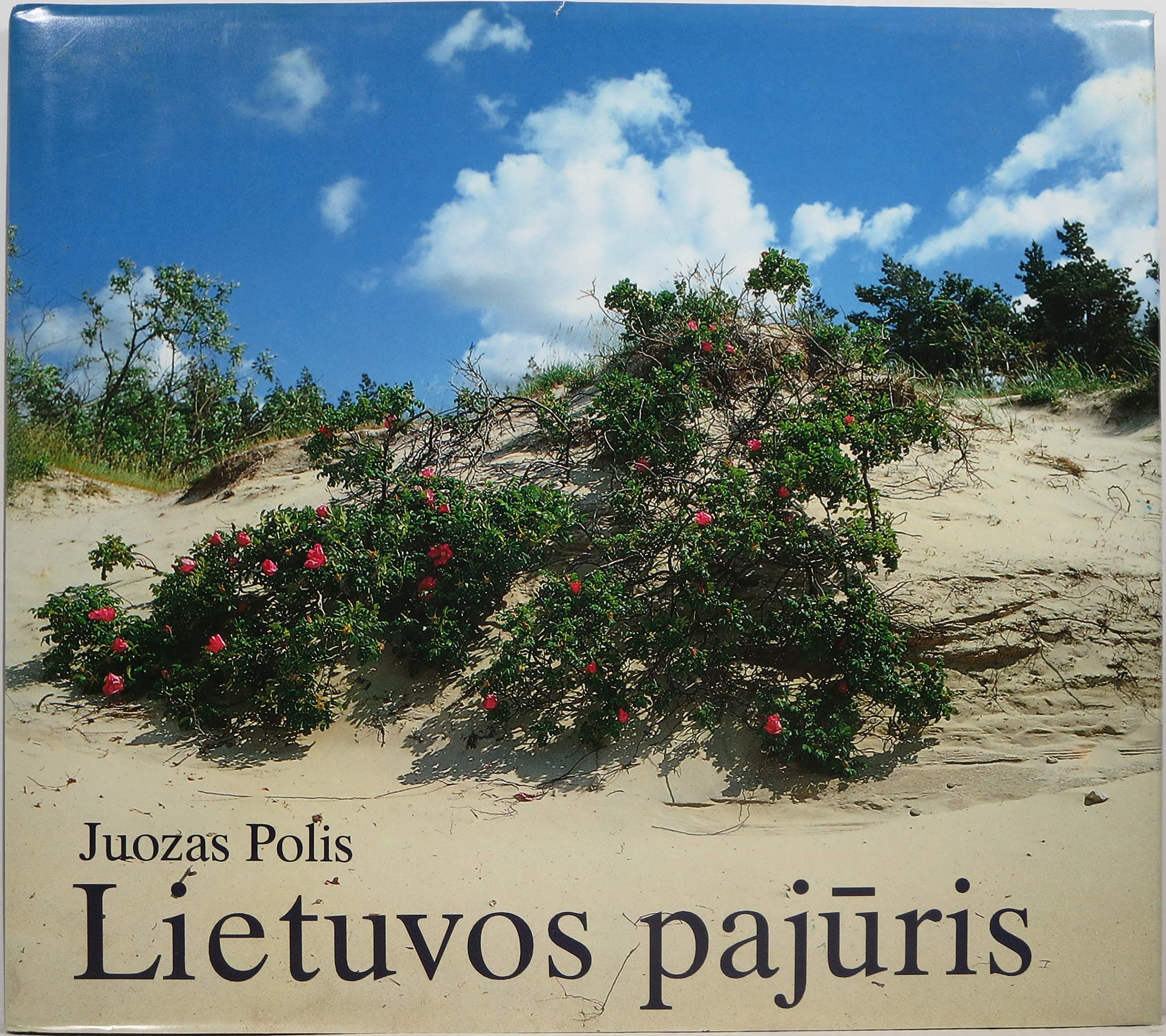 Lietuvos pajuris. Die Litauische Ostseeküste. Lithuanian Seaside. ( Litauisch - Deutsch - Englisch ) Books