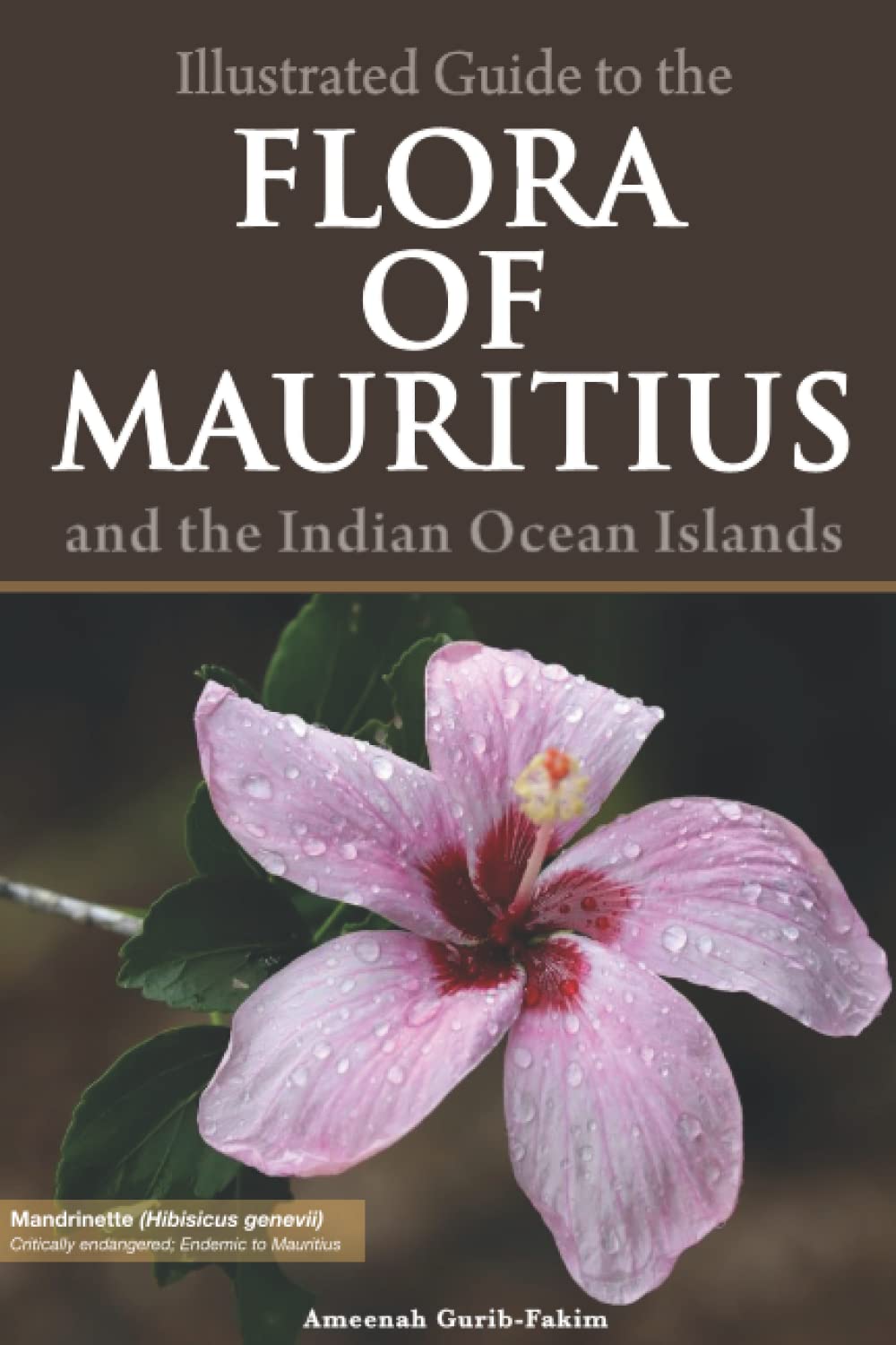 Illustrated Guide to the Flora of Mauritius and Indian Ocean Islands Mathematics