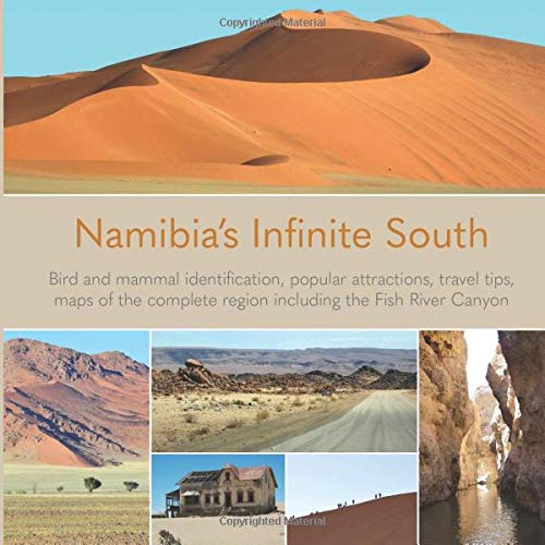 Namibia's infinite South: Explore the southern deserts of Namibia (Namibia Collection) book