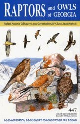 Raptors and Owls of Georgia Mathematics