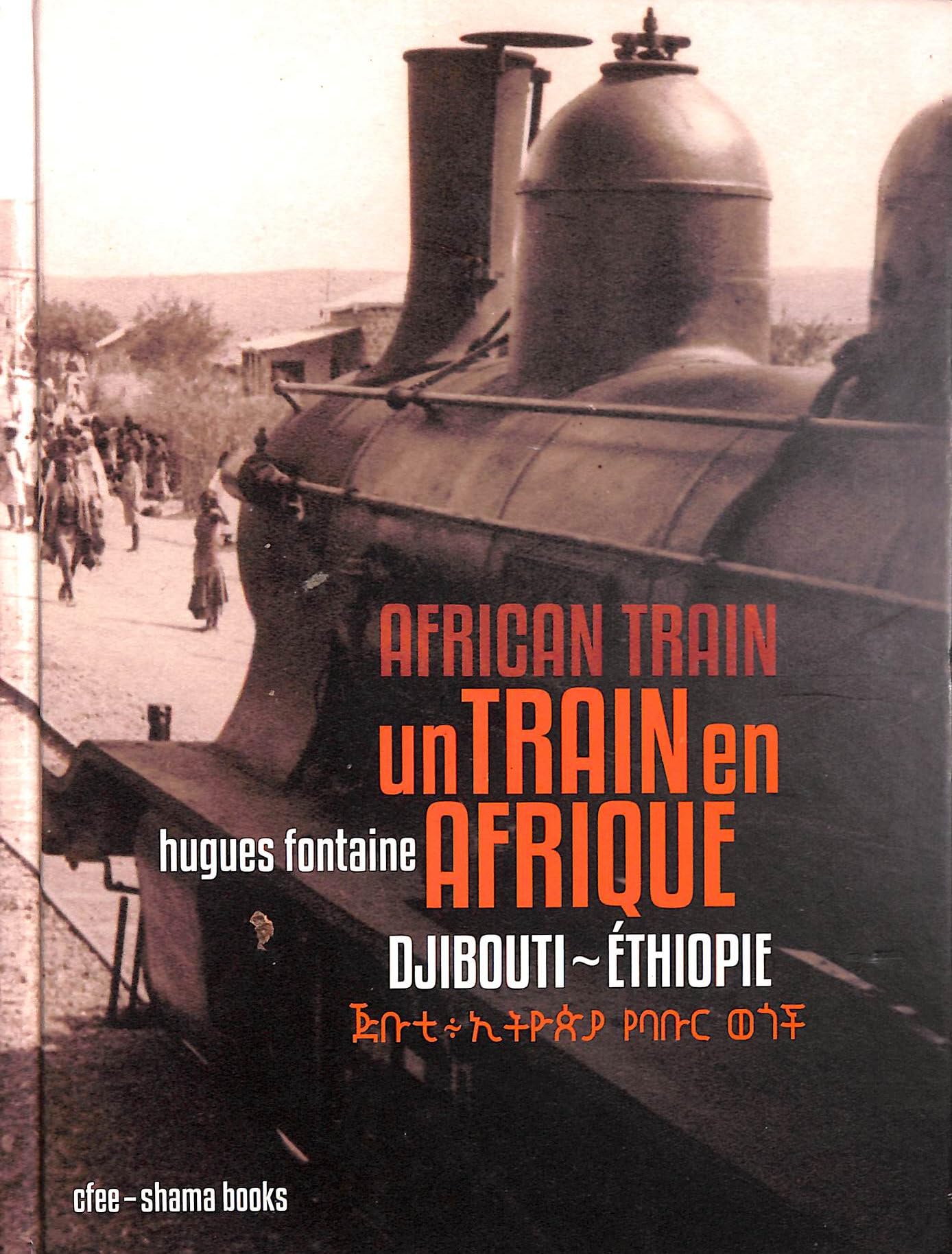 Un Train en Afrique. African Train Books