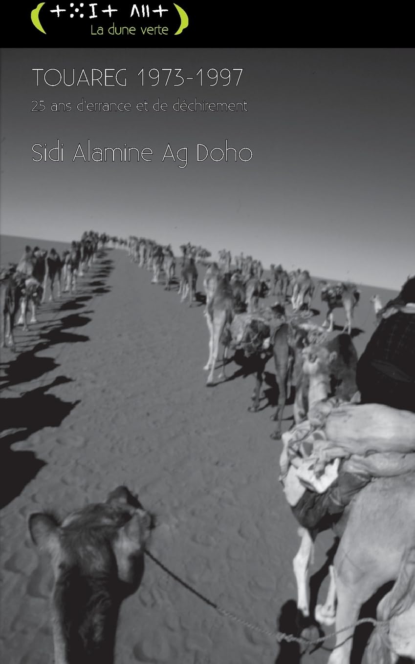 Touareg: 1973-1997 Vingt-cinq ans d'errance Historical Fiction