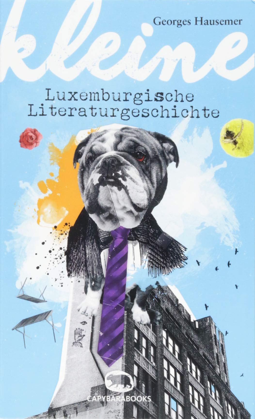 Kleine luxemburgische Literaturgeschichte book