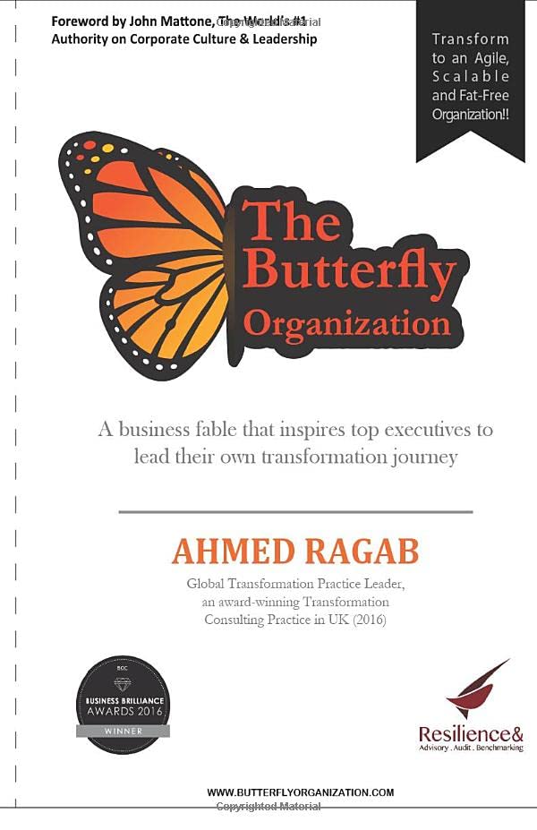 The Butterfly Organization: A business fable that inspires top executives to lead their own transformation journey book