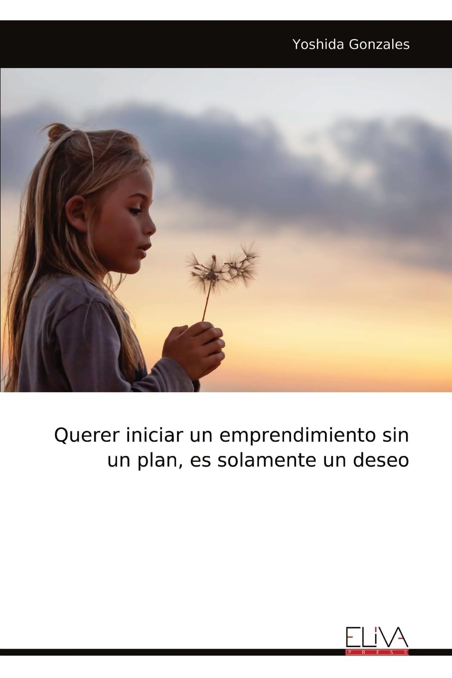 Querer iniciar un emprendimiento sin un plan, es solamente un deseo Business, Finance & Career