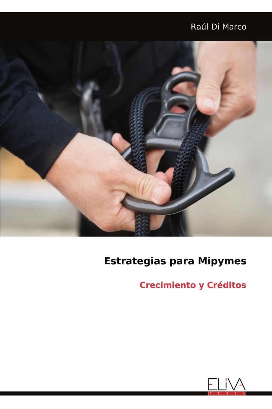 Estrategias para Mipymes Business, Finance & Career