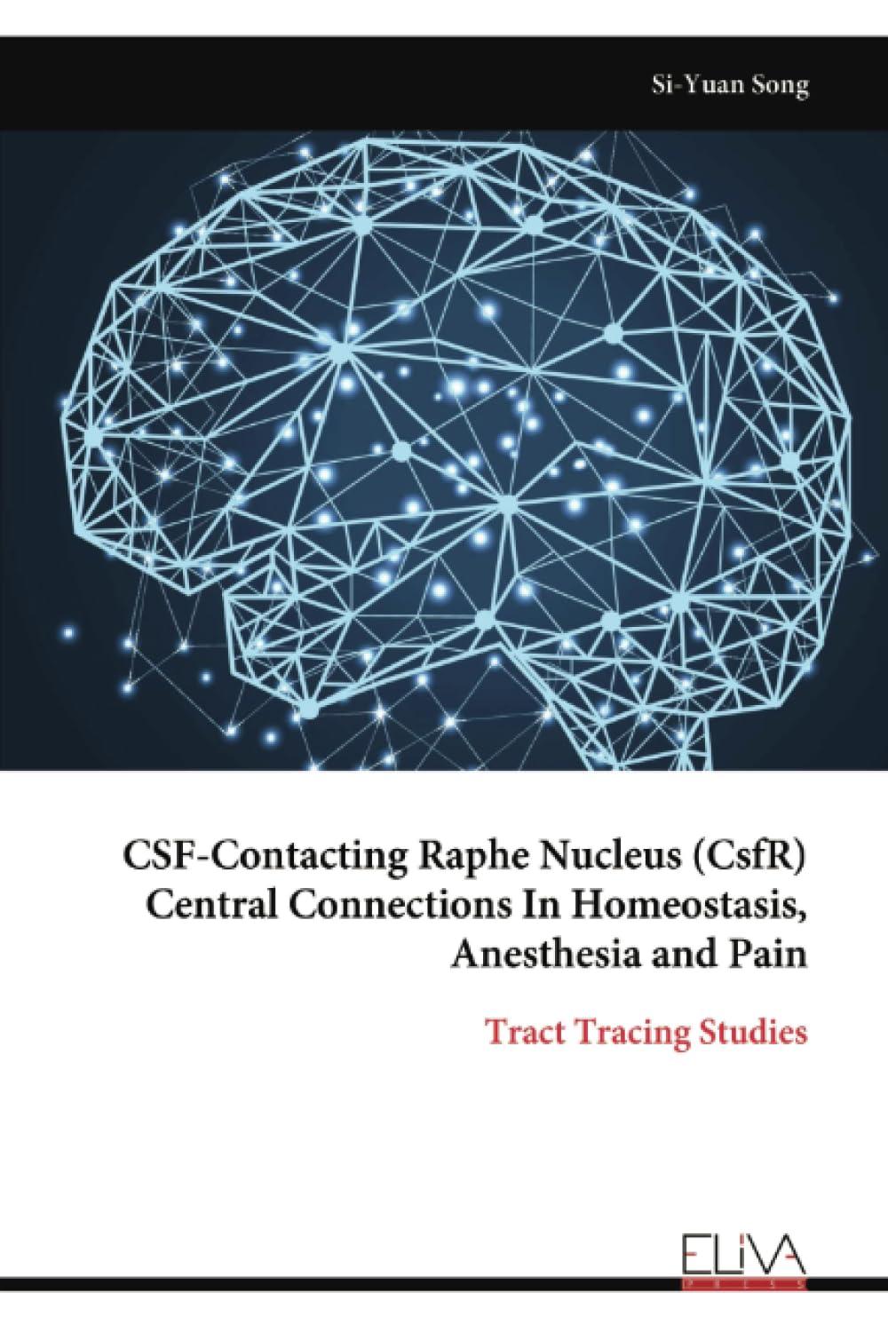 CSF-Contacting Raphe Nucleus (CsfR) Central Connections In Homeostasis, Anesthesia and Pain Business & Technology