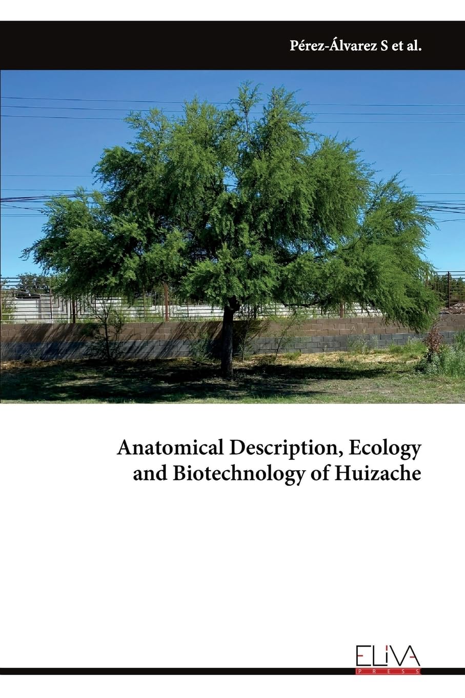 Anatomical Description, Ecology and Biotechnology of Huizache Natural Sciences