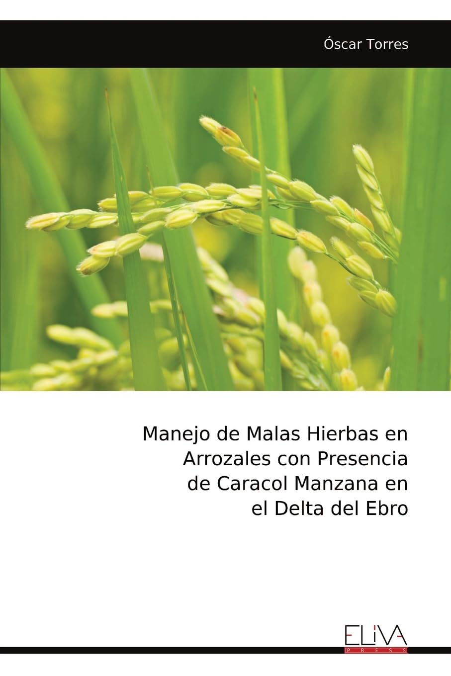 Manejo de Malas Hierbas en Arrozales con Presencia de Caracol Manzana en el Delta del Ebro Natural Sciences
