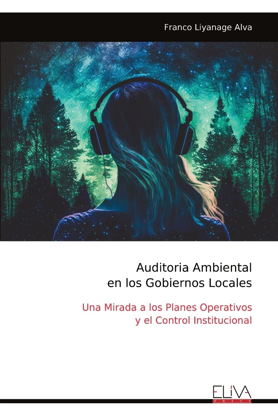 Auditoria Ambiental en los Gobiernos Locales Books