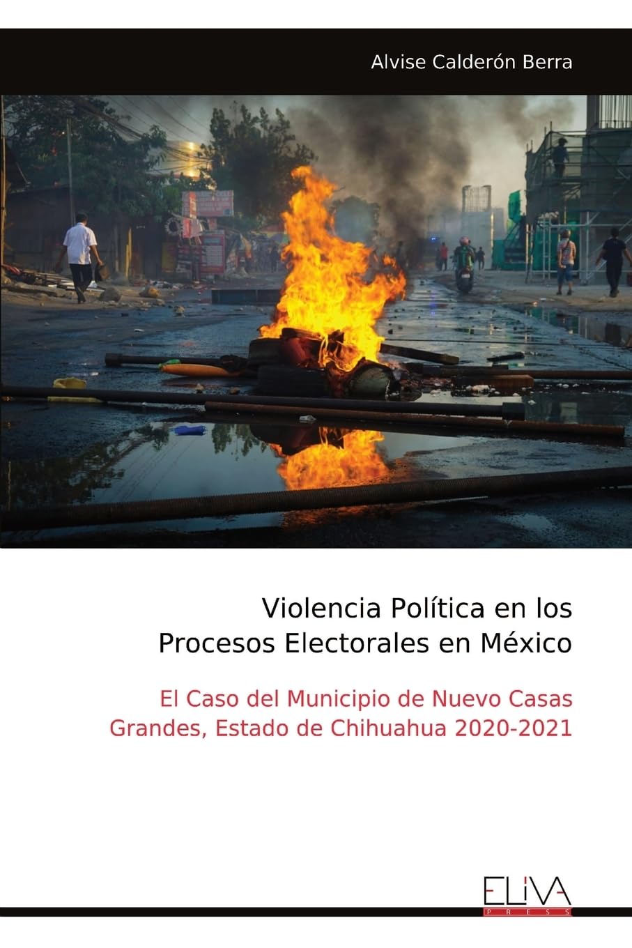 Violencia Política en los Procesos Electorales en México Books