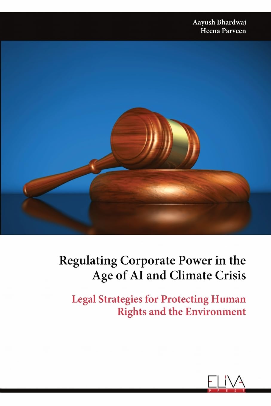 Regulating Corporate Power in the Age of AI and Climate Crisis Law
