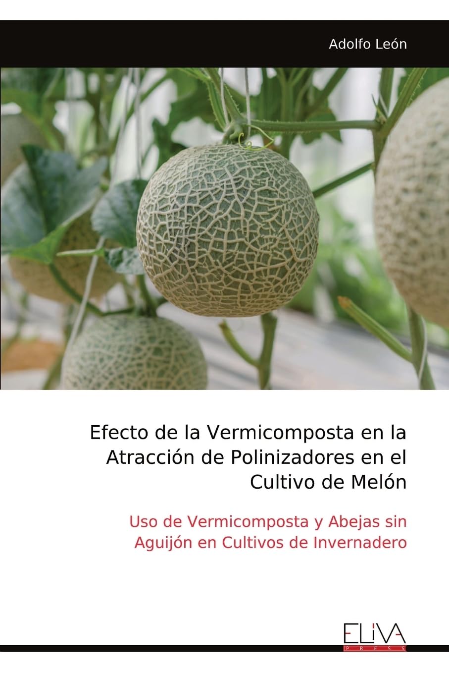 Efecto de la Vermicomposta en la Atracción de Polinizadores en el Cultivo de Melón Natural Sciences