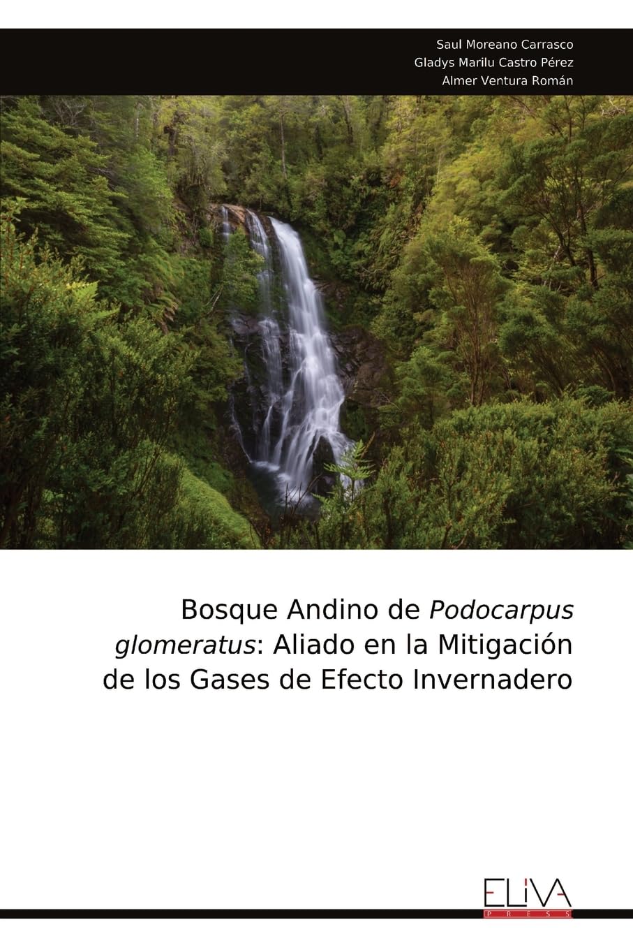 Bosque Andino de Podocarpus glomeratus Mathematics