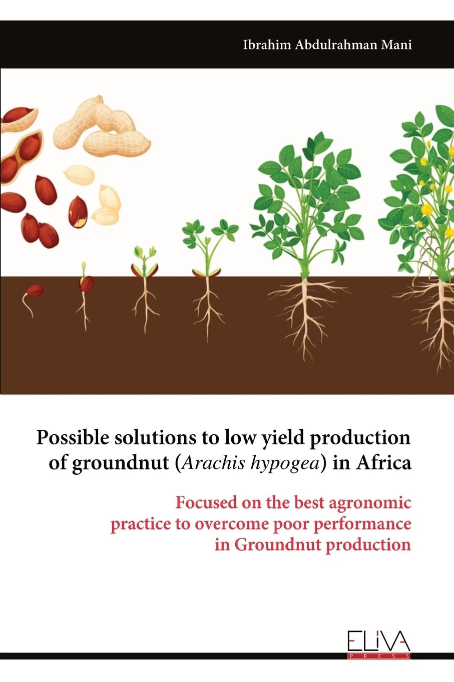 Possible solutions to low yield production of groundnut (Arachis hypogea) in Africa Natural Sciences