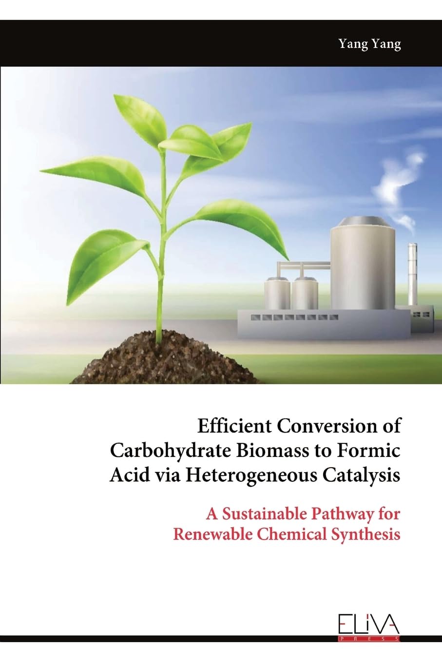Efficient Conversion of Carbohydrate Biomass to Formic Acid via Heterogeneous Catalysis Natural Sciences