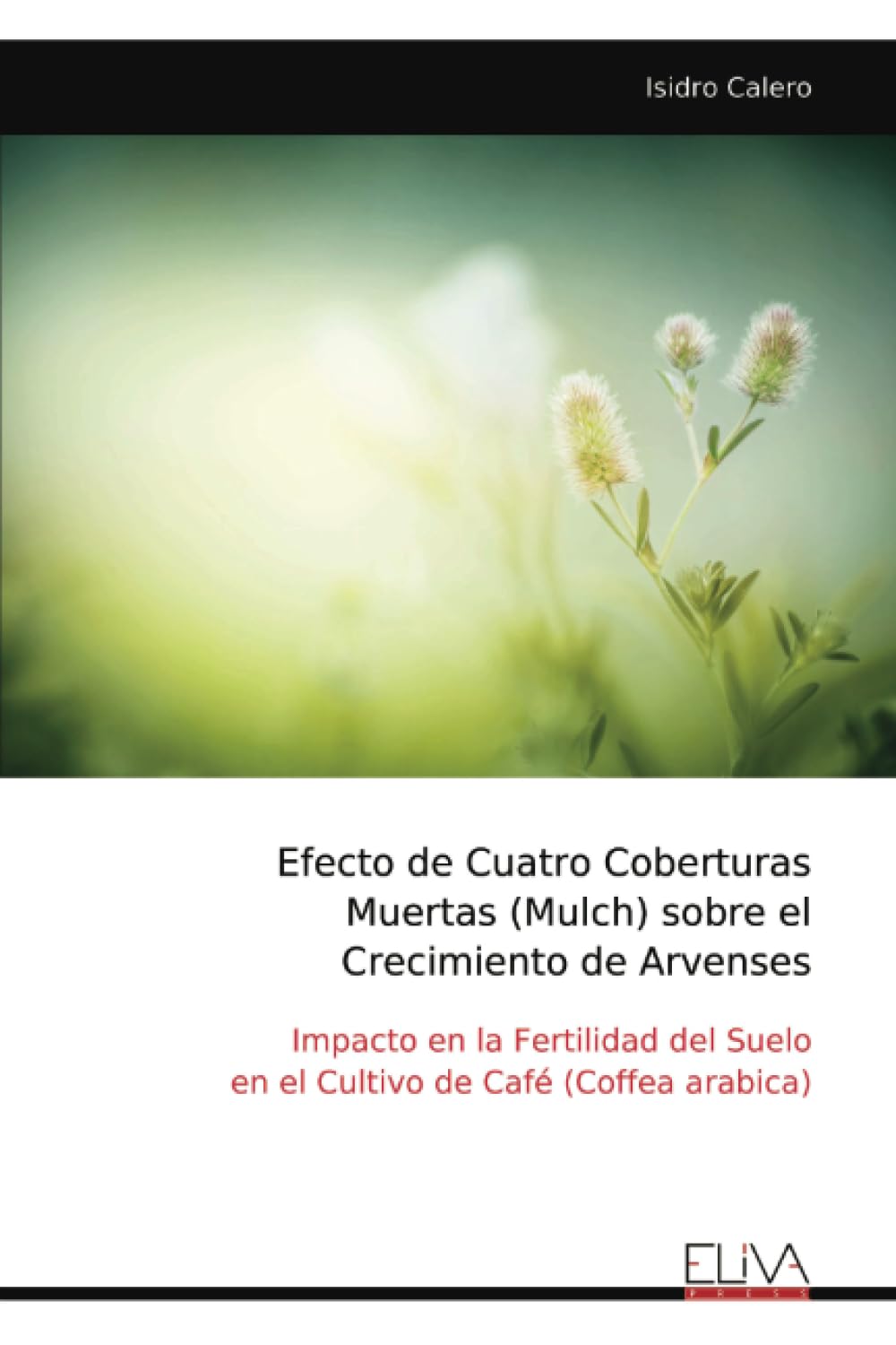 Efecto de Cuatro Coberturas Muertas (Mulch) sobre el Crecimiento de Arvenses Natural Sciences
