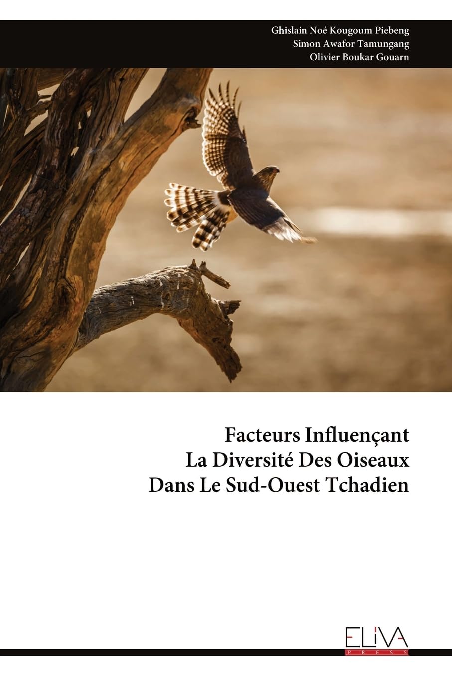 Facteurs Influençant La Diversité Des Oiseaux Dans Le Sud-Ouest Tchadien Mathematics