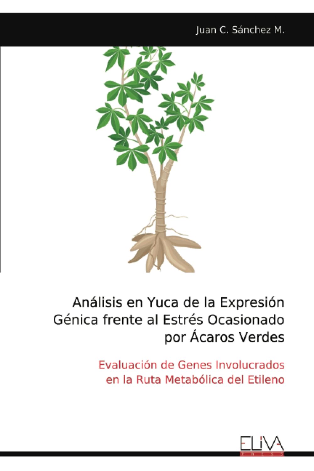 Análisis en Yuca de la Expresión Génica frente al Estrés Ocasionado por Ácaros Verdes Business & Technology