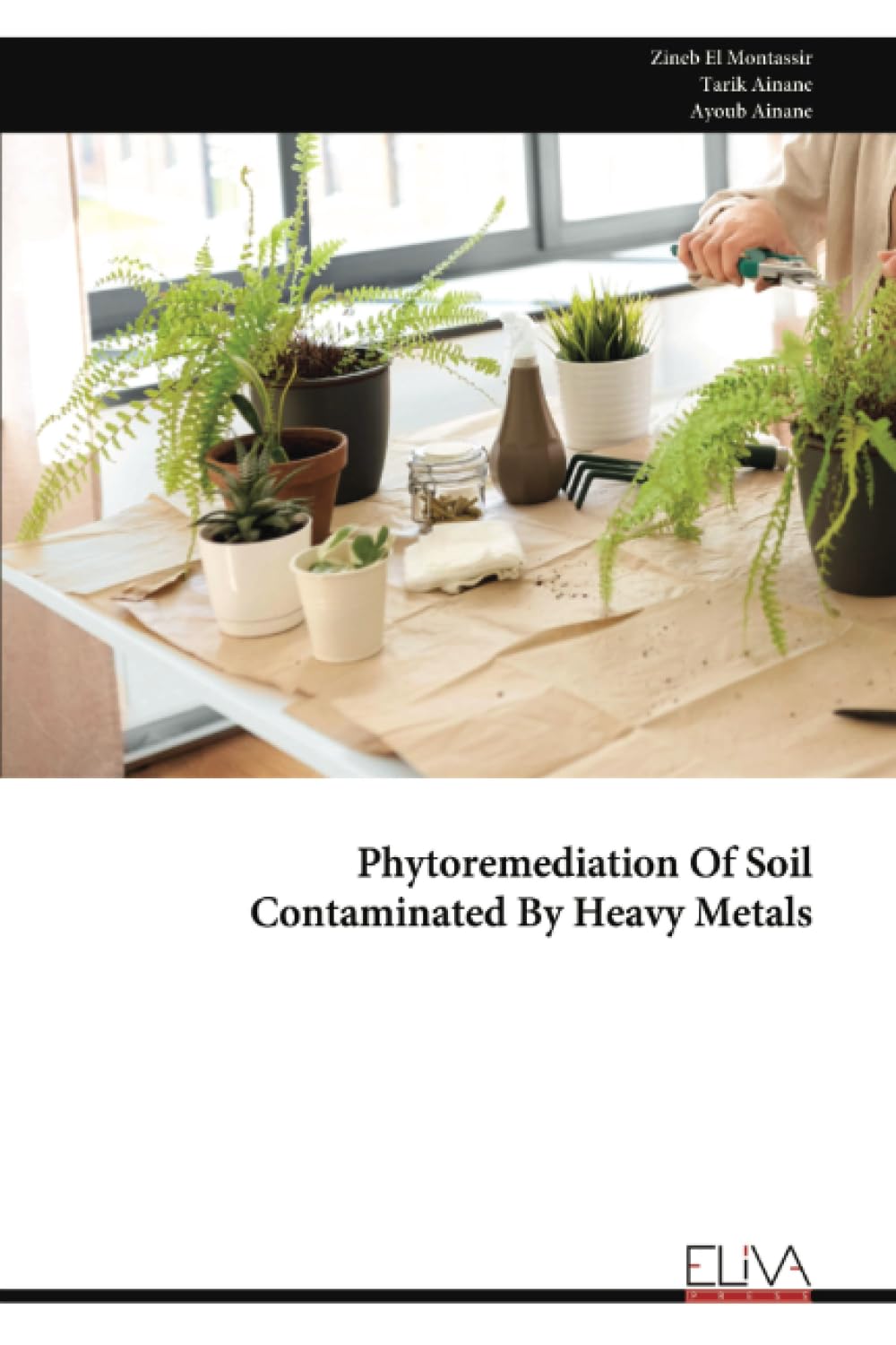 Phytoremediation Of Soil Contaminated By Heavy Metals Natural Sciences