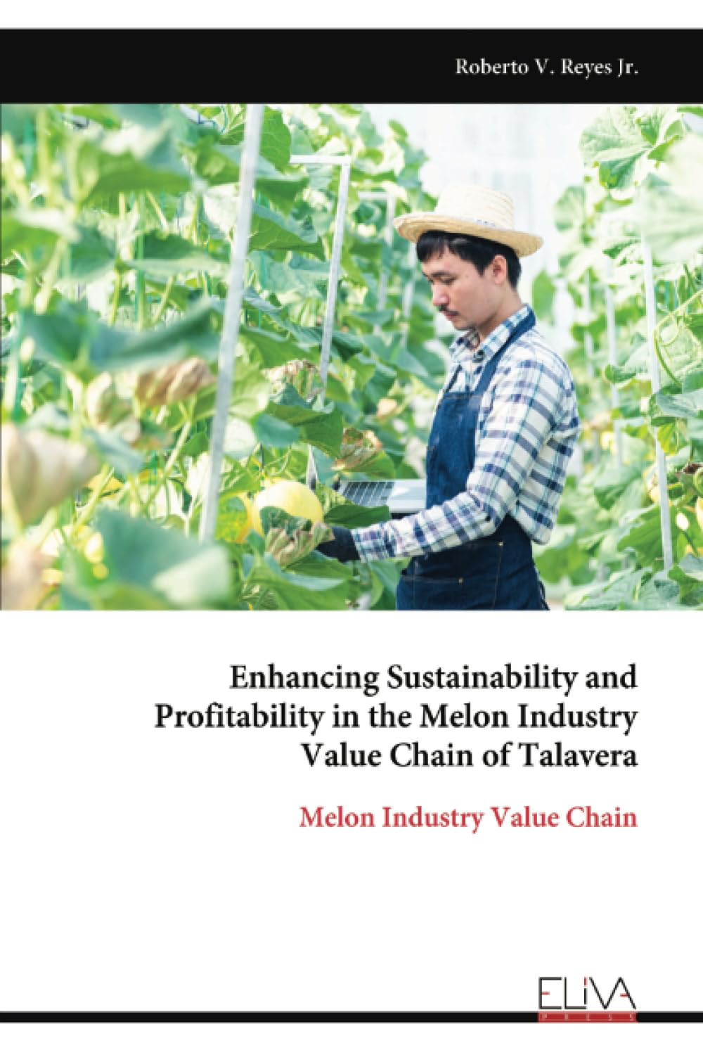 Enhancing Sustainability and Profitability in the Melon Industry Value Chain of Talavera Business, Finance & Career