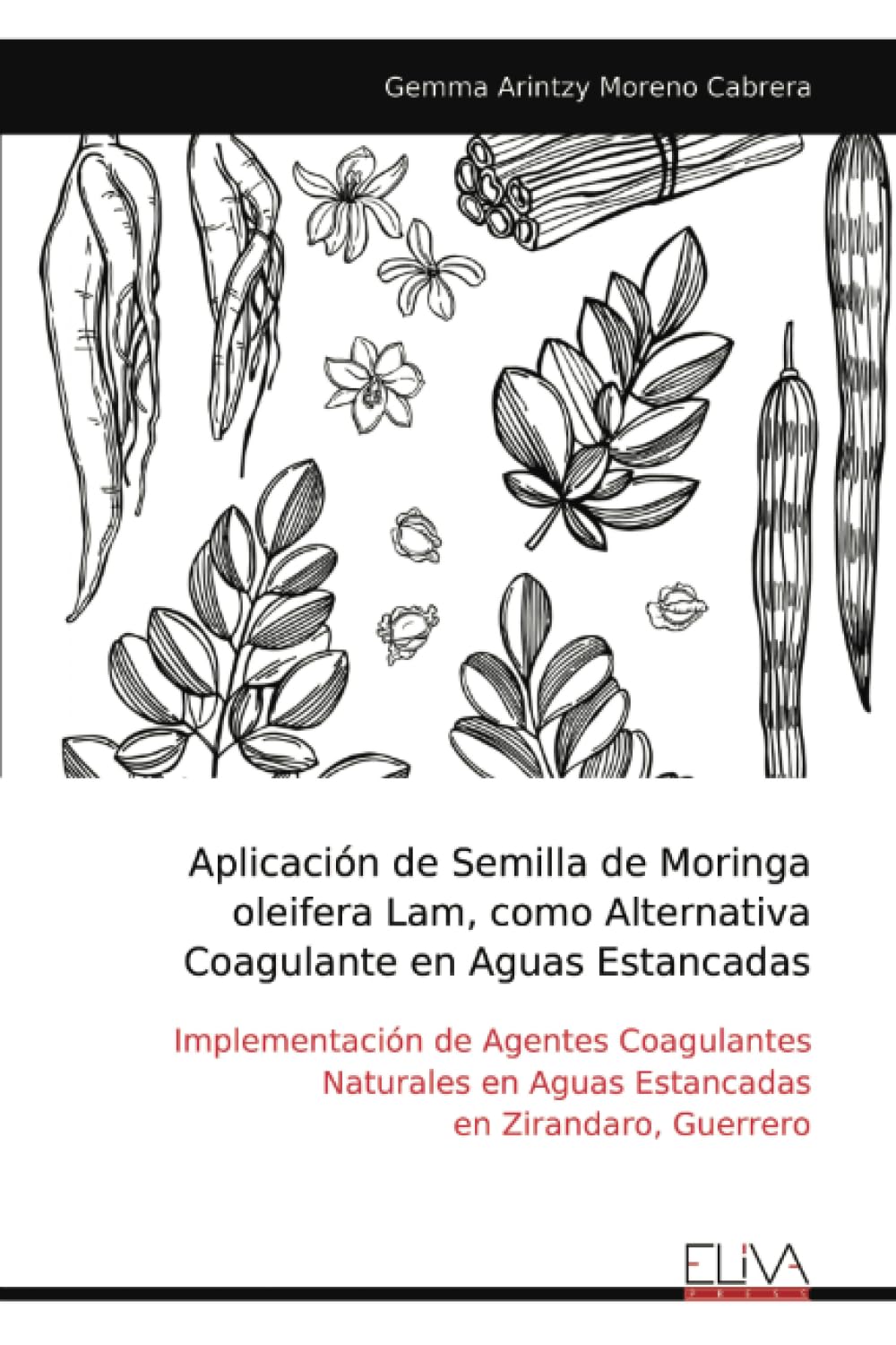 Aplicación de Semilla de Moringa oleifera Lam, como Alternativa Coagulante en Aguas Estancadas Business & Technology