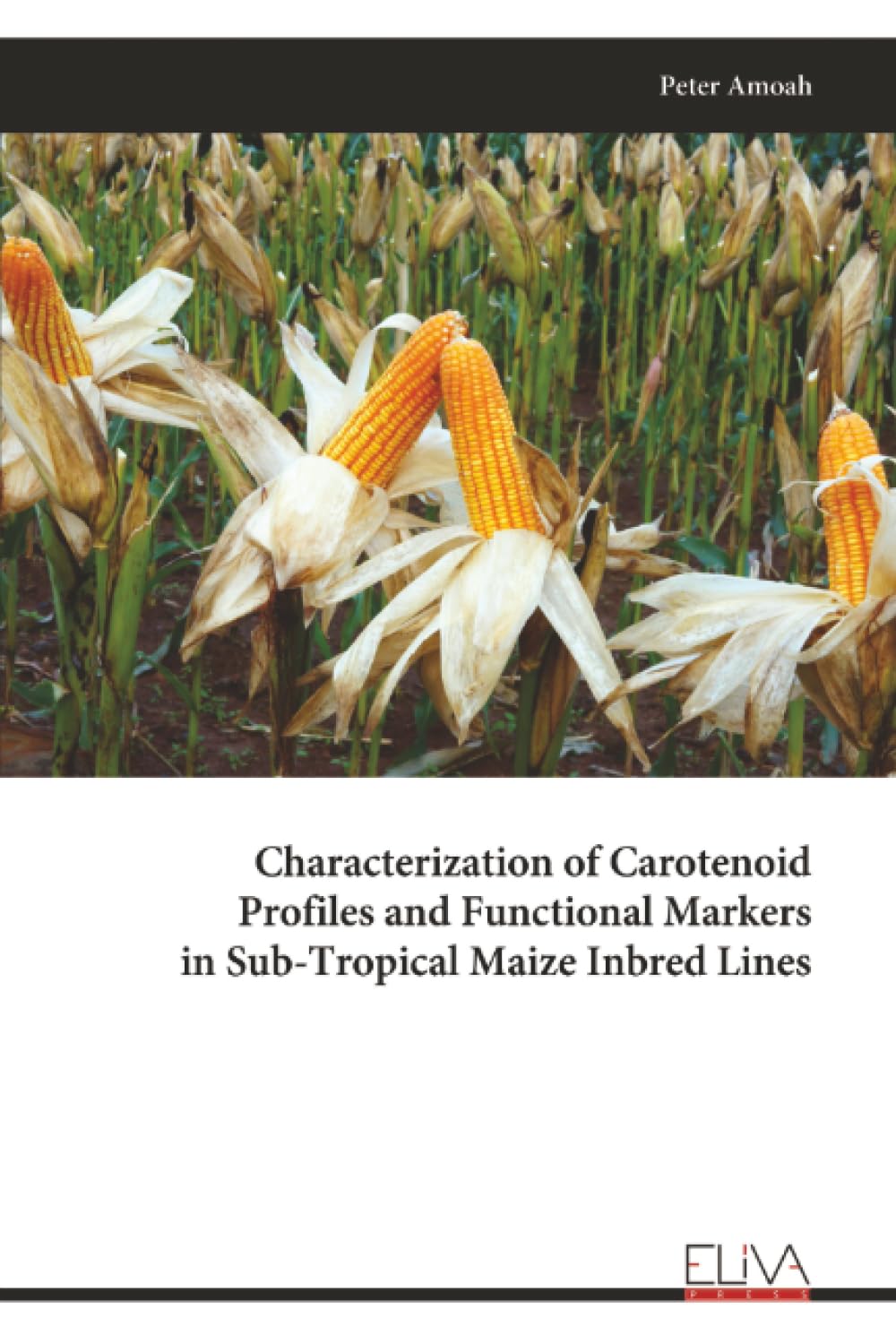 Characterization of Carotenoid Profiles and Functional Markers in Sub-Tropical Maize Inbred Lines Natural Sciences