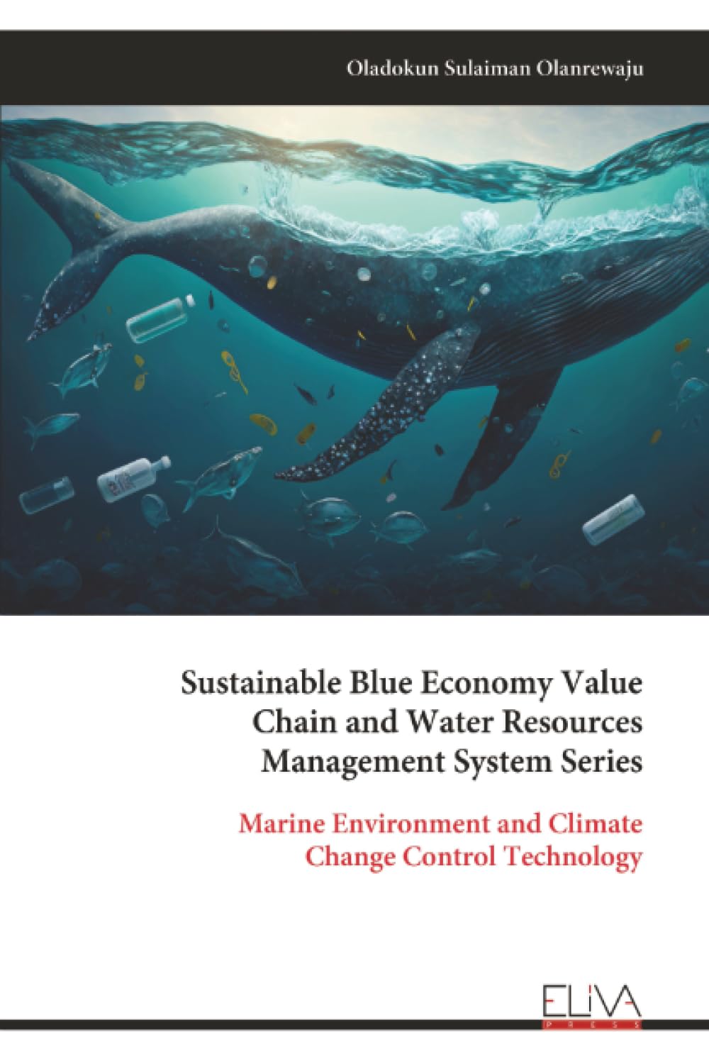 Sustainable Blue Economy Value Chain and Water Resources Management System Series Business & Technology