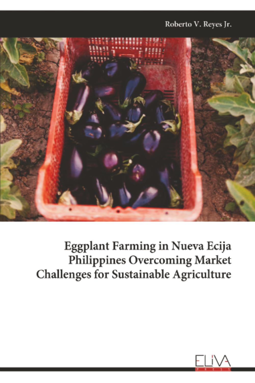 Eggplant Farming in Nueva Ecija Philippines Overcoming Market Challenges for Sustainable Agriculture Natural Sciences