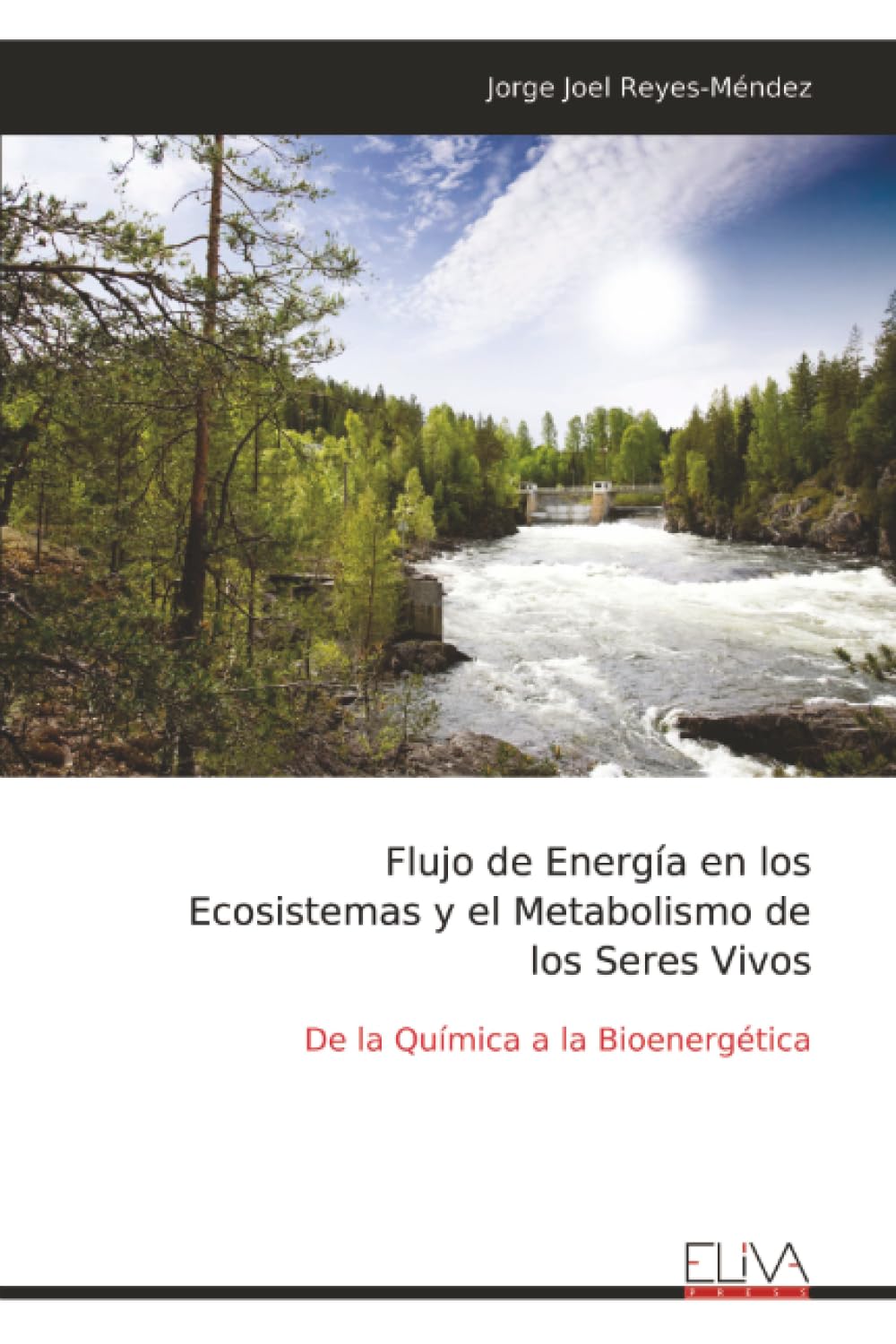 Flujo de Energía en los Ecosistemas y el Metabolismo de los Seres Vivos Natural Sciences