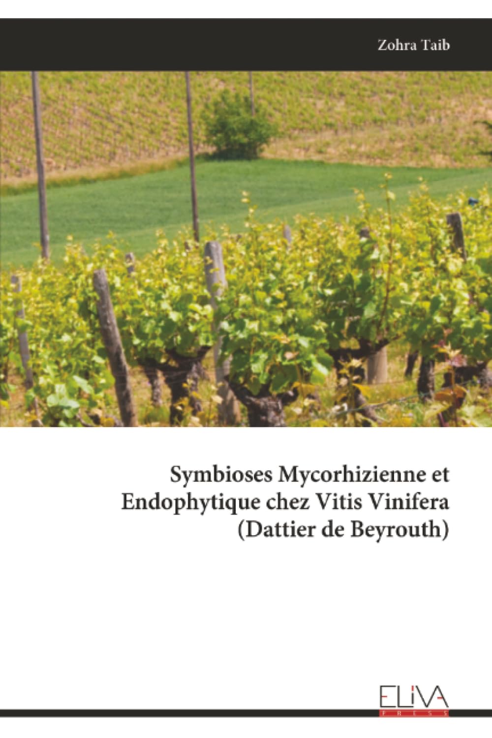 Symbioses Mycorhizienne et Endophytique chez Vitis Vinifera (Dattier de Beyrouth) Mathematics