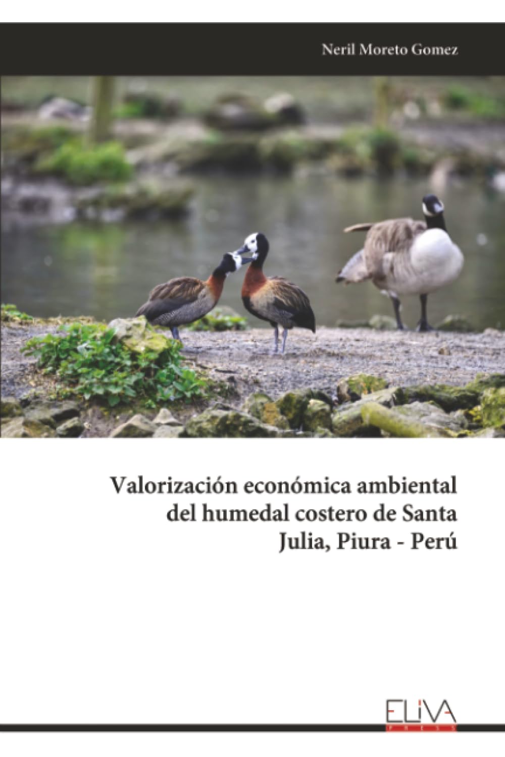Valorización económica ambiental del humedal costero de Santa Julia, Piura - Perú Mathematics