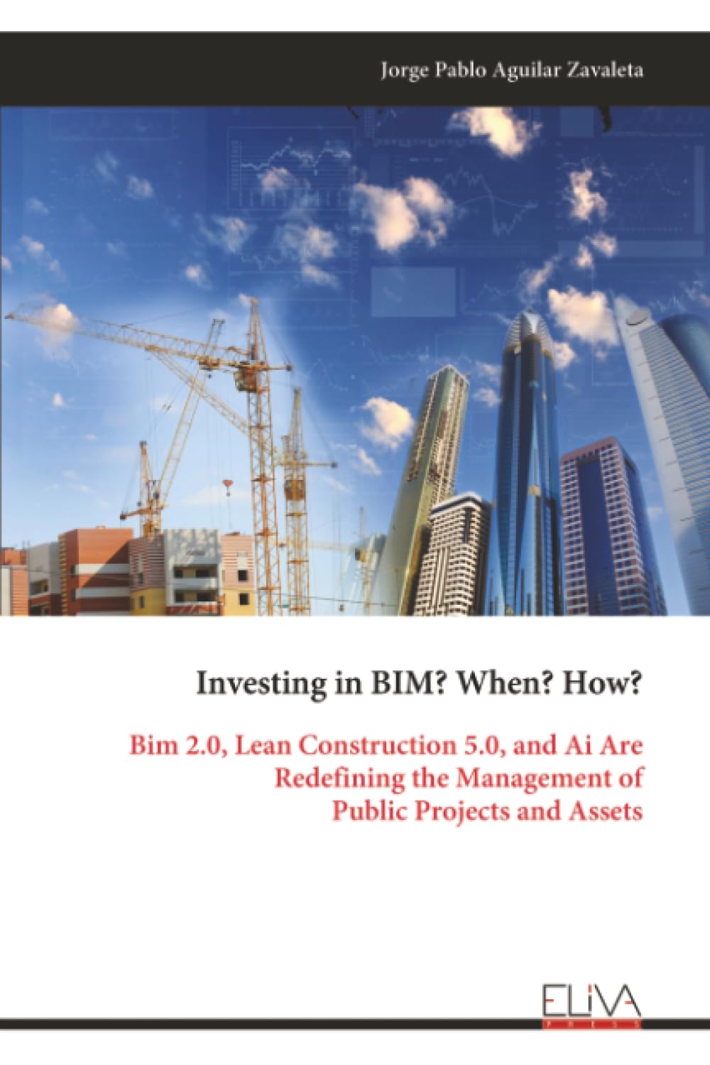 Investing in BIM? When? How? Architecture