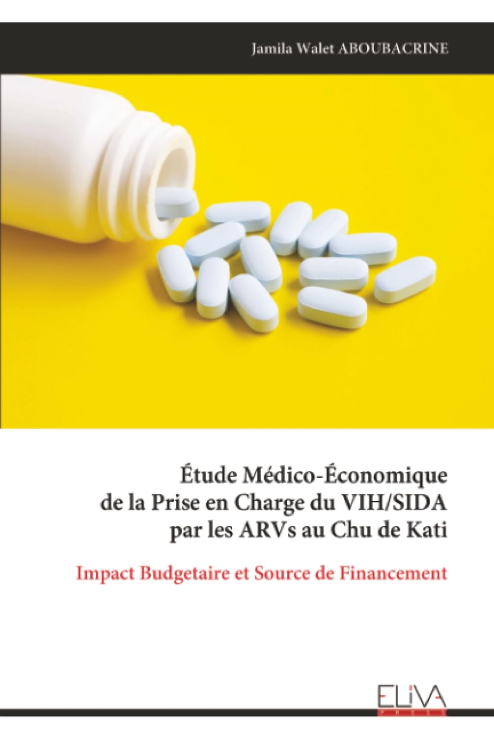 Étude Médico-Économique de la Prise en Charge du VIH/SIDA par les ARVs au Chu de Kati Business & Technology