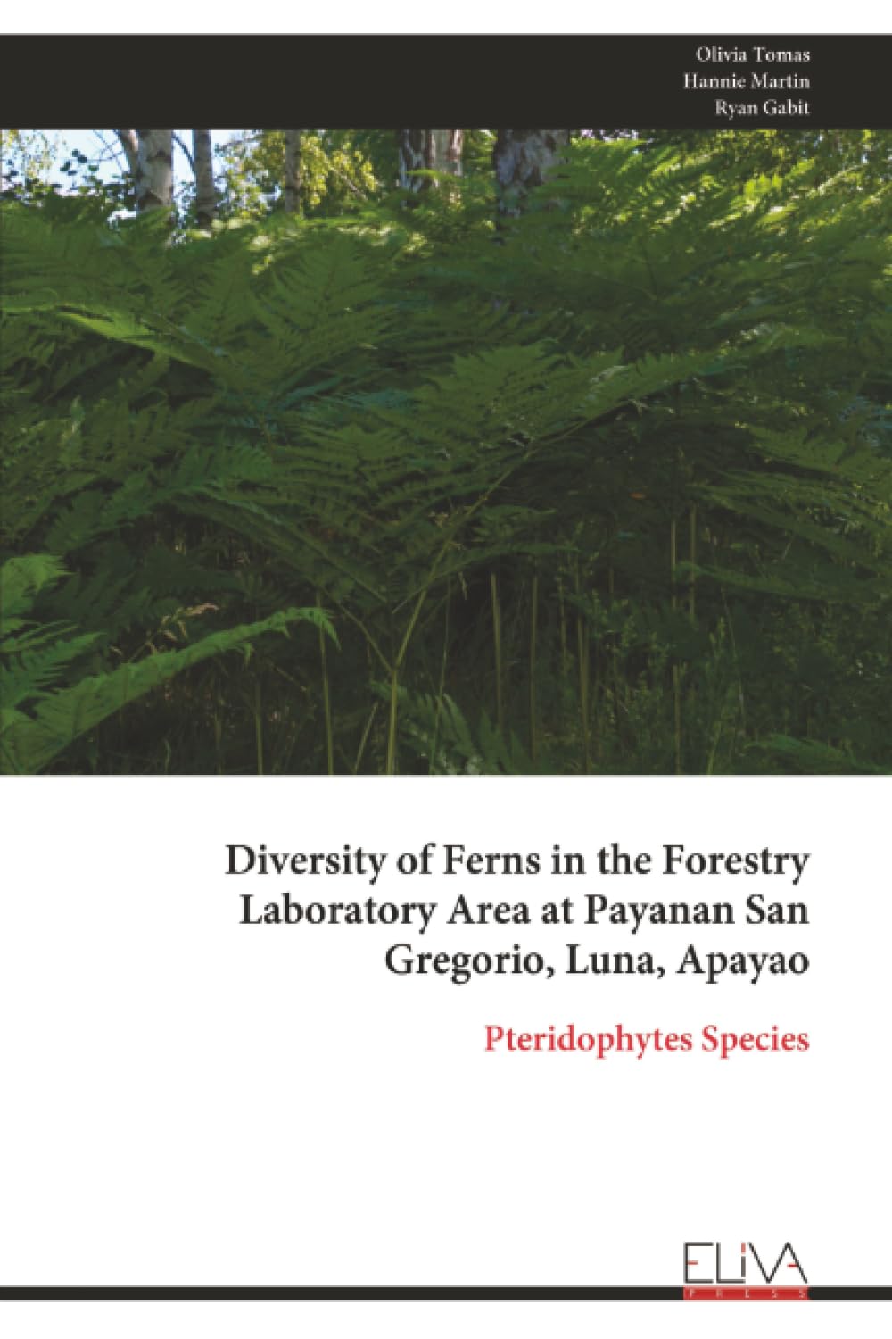 Diversity of Ferns in the Forestry Laboratory Area at Payanan San Gregorio, Luna, Apayao Mathematics