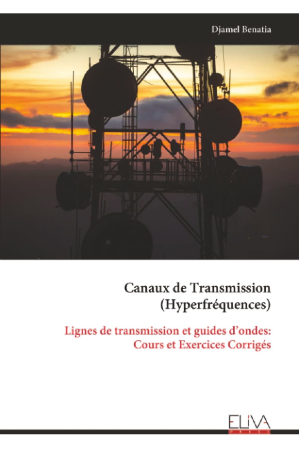 Canaux de Transmission (Hyperfréquences): Lignes de transmission et guides d’ondes: Cours et Exercices Corrigés Media & Communication