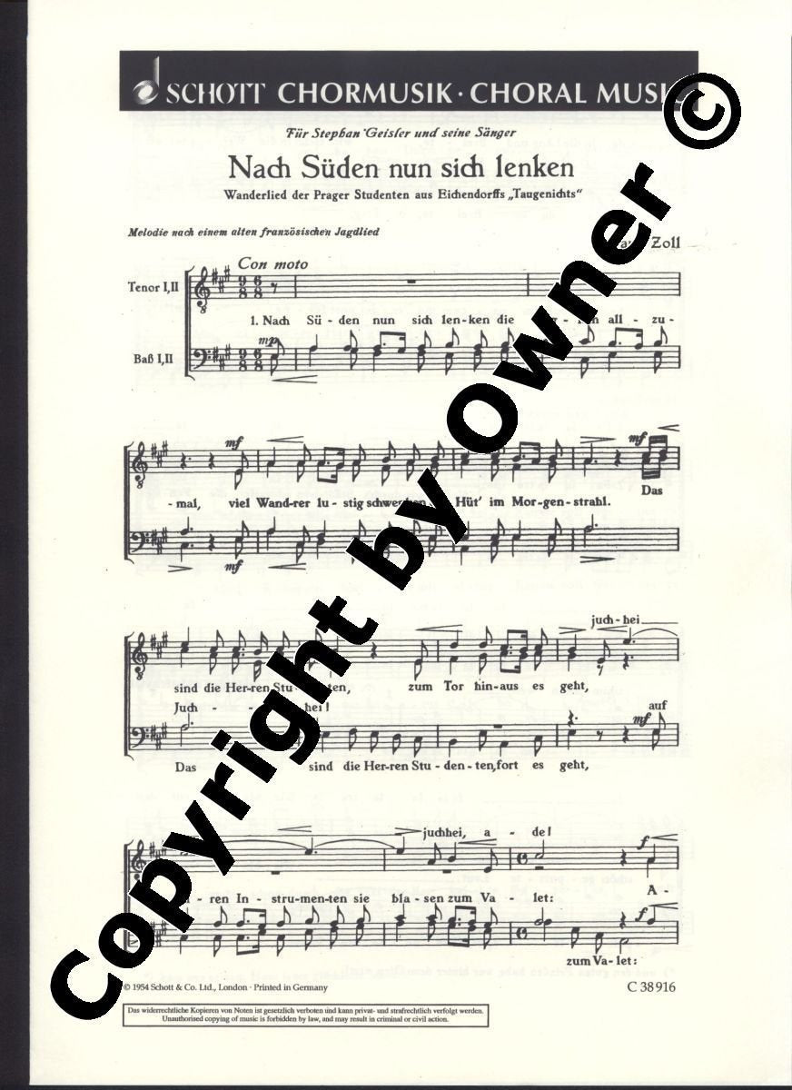 Nach Süden nun sich lenken: Wanderlied der Prager Studenten. men's choir (TTBB). Partition de chœur. Sheet Music