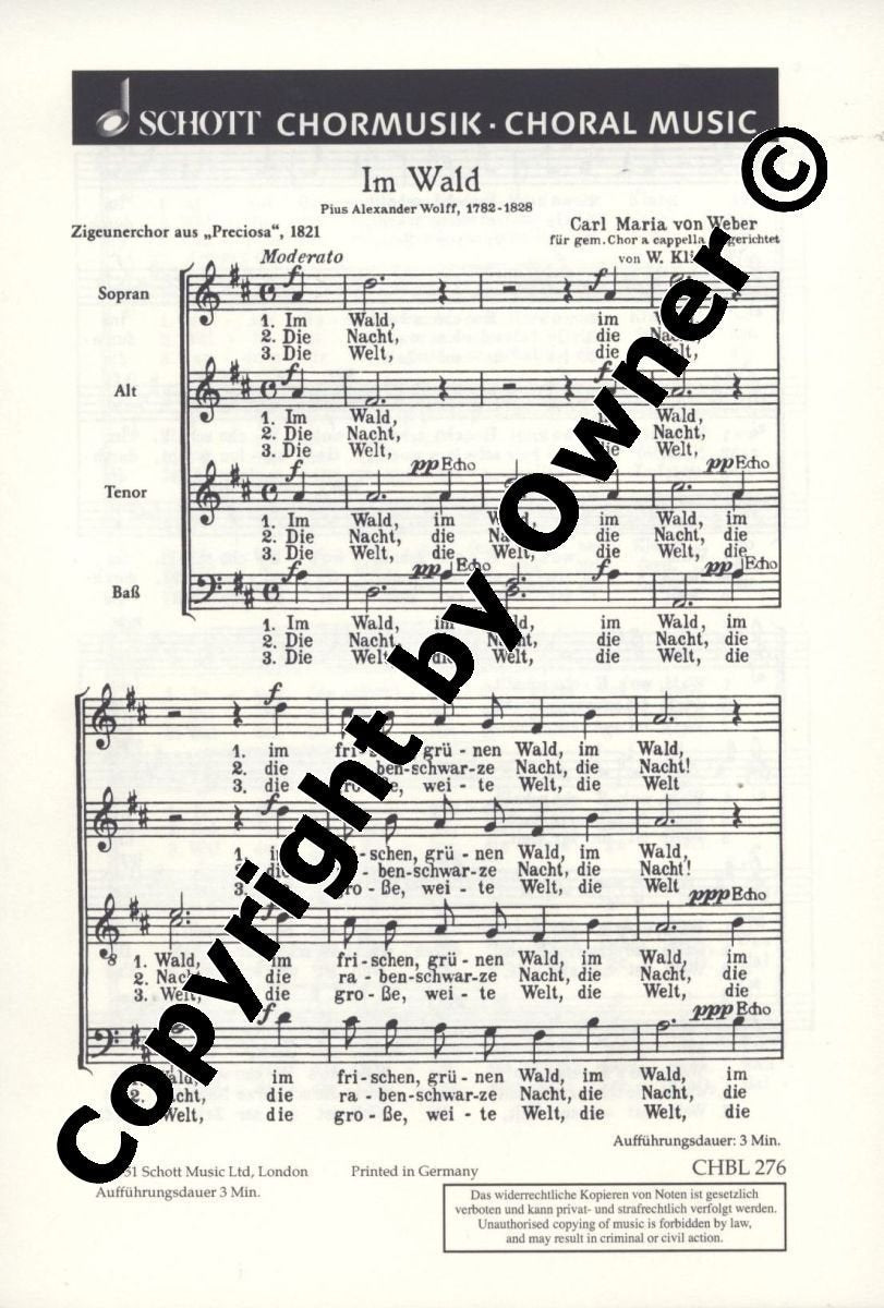 Im Wald: Zigeunerchor aus "Preciosa". gemischter Chor (SATB). Chorpartitur. (Schott's Chorblätter) Arts & Music